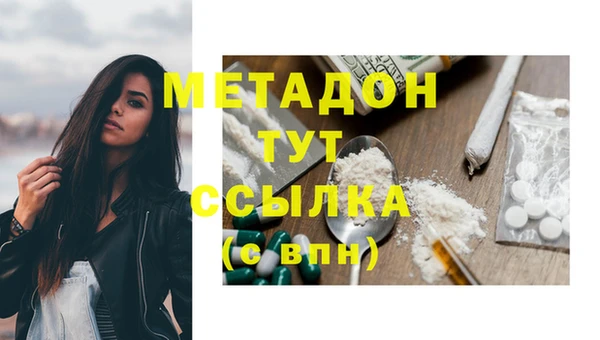 сатива Гвардейск