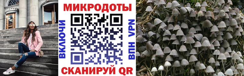 сайты даркнета Telegram  где можно купить наркотик  Инсар  Псилоцибиновые грибы мухоморы  кракен как войти 